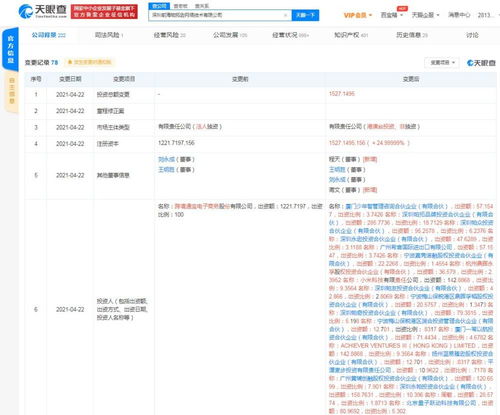 計算機軟件的技術開發與銷售 創新驅動與市場策略的融合
